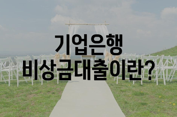 기업은행 비상금대출이란?