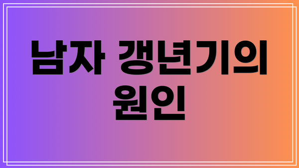 남자 갱년기의 원인