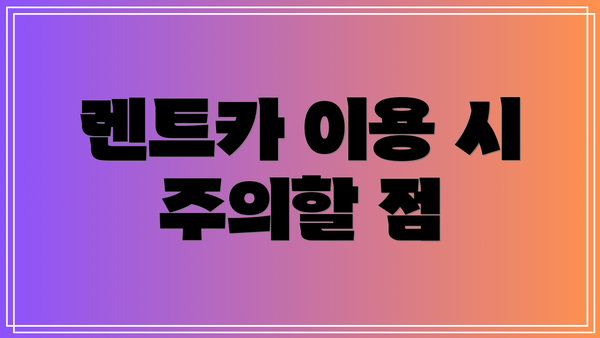 렌트카 이용 시 주의할 점