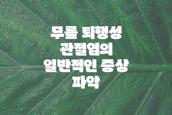 무릎 퇴행성 관절염의 일반적인 증상 파악