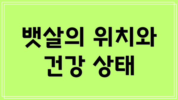 뱃살의 위치와 건강 상태