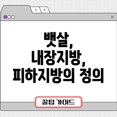 뱃살, 내장지방, 피하지방의 정의