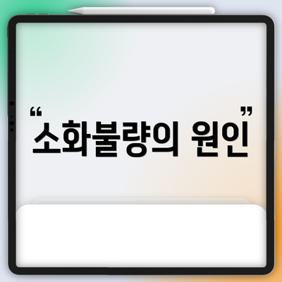 소화불량의 원인