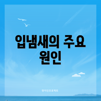 입냄새의 주요 원인