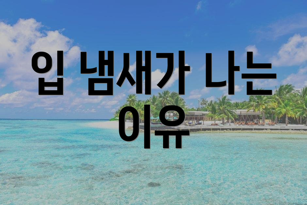 입 냄새가 나는 이유