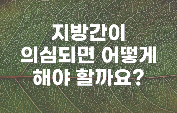 지방간이 의심되면 어떻게 해야 할까요?