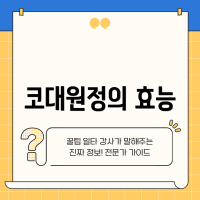 코대원정의 효능