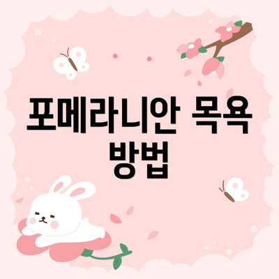 포메라니안 목욕 방법
