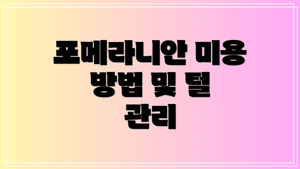 포메라니안 미용 방법 및 털 관리