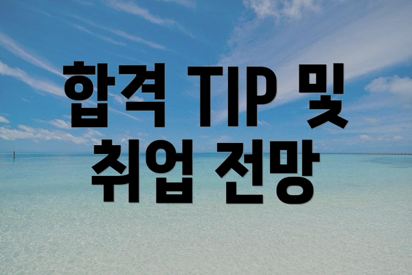 합격 TIP 및 취업 전망