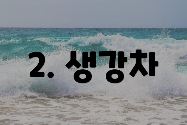 2. 생강차