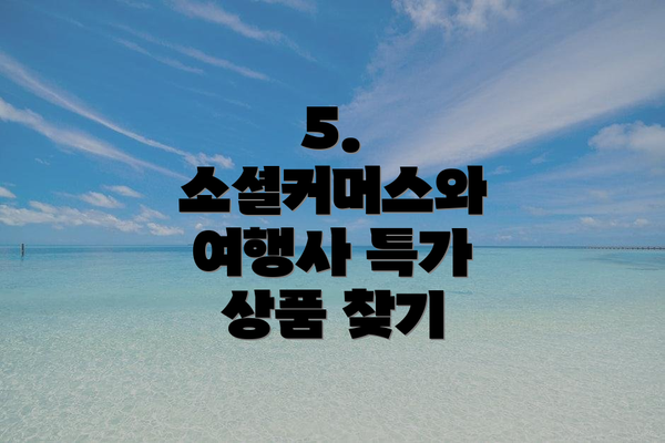 5. 소셜커머스와 여행사 특가 상품 찾기
