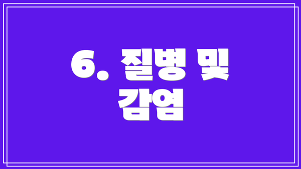 6. 질병 및 감염