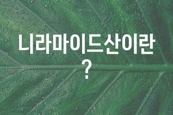 니라마이드산이란?