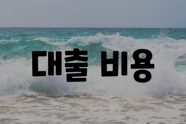 대출 비용