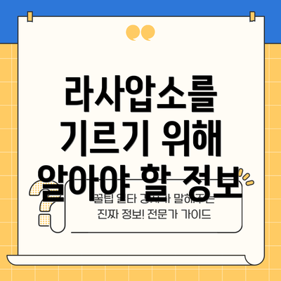 라사압소를 기르기 위해 알아야 할 정보