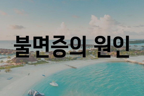 불면증의 원인