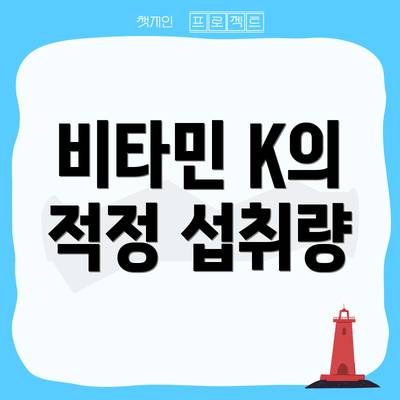 비타민 K의 적정 섭취량