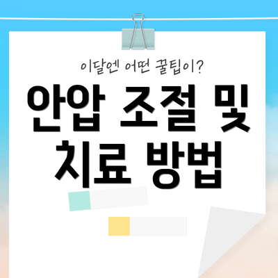 안압 조절 및 치료 방법