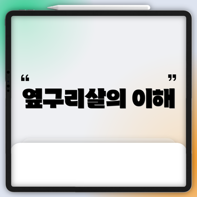 옆구리살의 이해