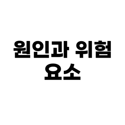 원인과 위험 요소
