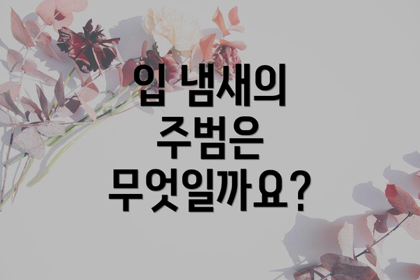 입 냄새의 주범은 무엇일까요?