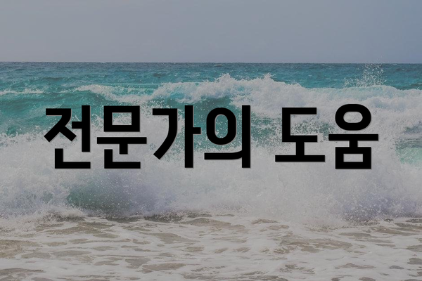 전문가의 도움