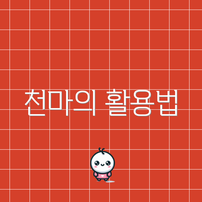 천마의 활용법