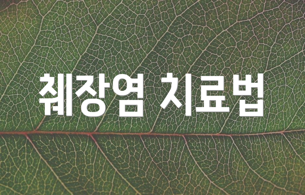 췌장염 치료법