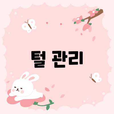 털 관리