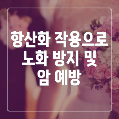 항산화 작용으로 노화 방지 및 암 예방
