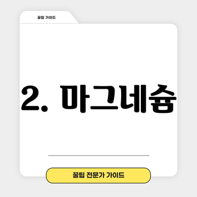 2. 마그네슘