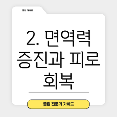 2. 면역력 증진과 피로 회복