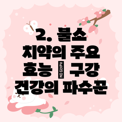 2. 불소 치약의 주요 효능 – 구강 건강의 파수꾼