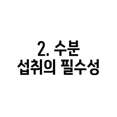 2. 수분 섭취의 필수성