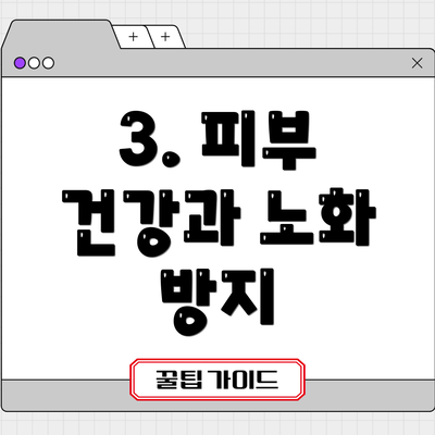 3. 피부 건강과 노화 방지