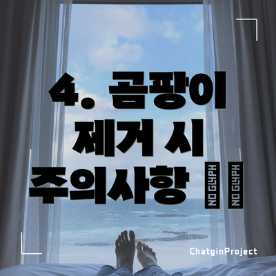 4. 곰팡이 제거 시 주의사항 ⚠️