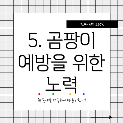 5. 곰팡이 예방을 위한 노력