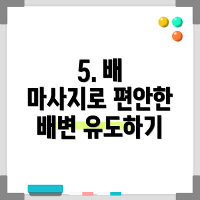 5. 배 마사지로 편안한 배변 유도하기