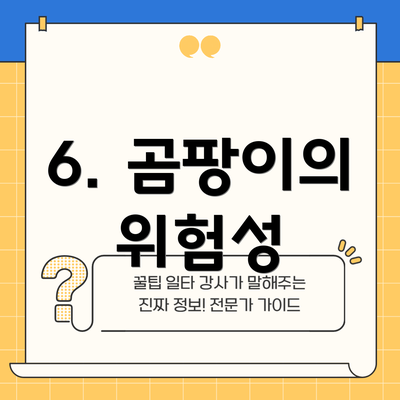 6. 곰팡이의 위험성