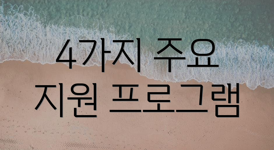 4가지 주요 지원 프로그램