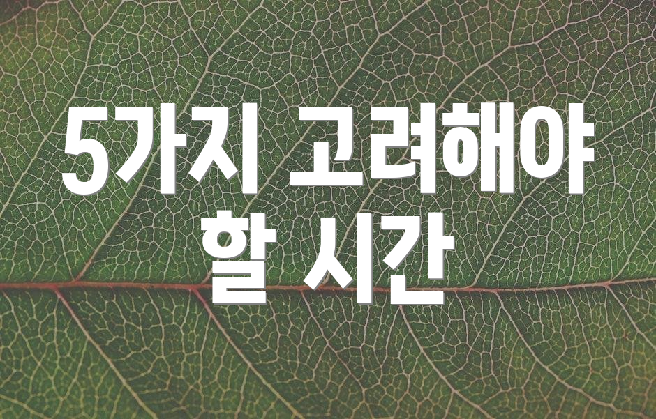 5가지 고려해야 할 시간