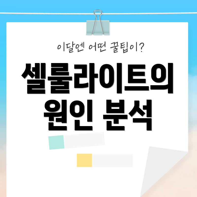 셀룰라이트의 원인 분석