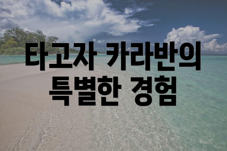타고자 카라반의 특별한 경험