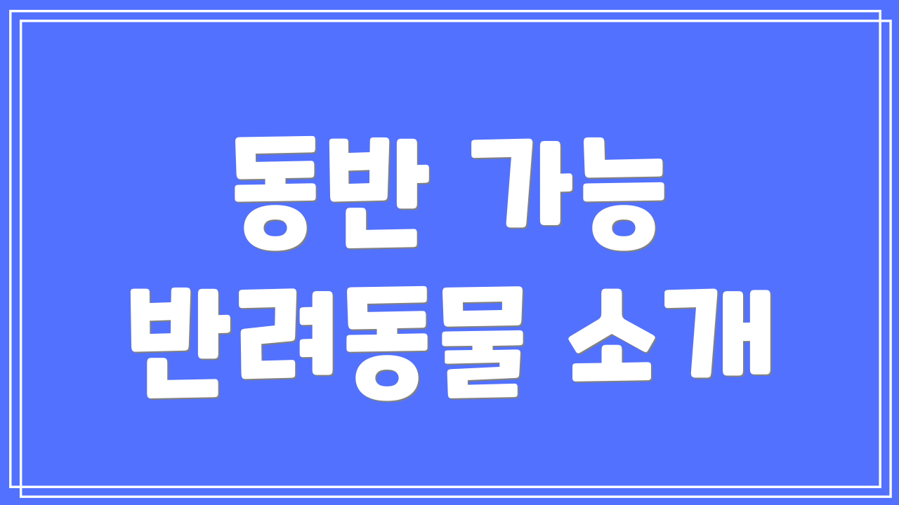 동반 가능 반려동물 소개