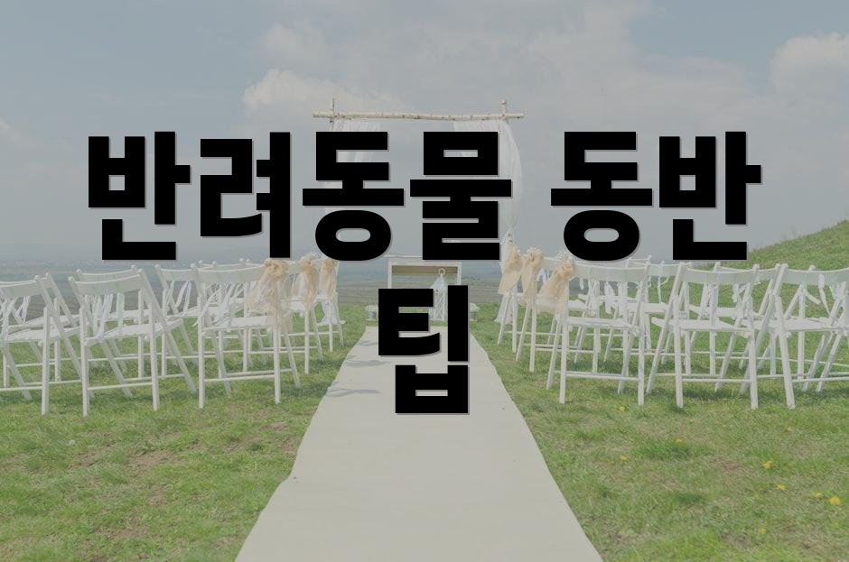 반려동물 동반 팁
