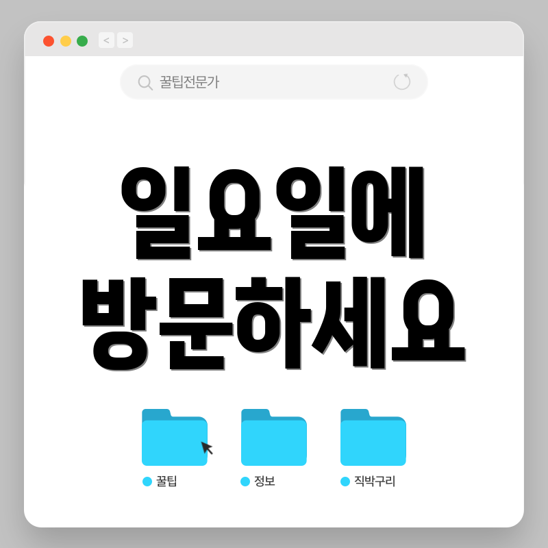 일요일에 방문하세요