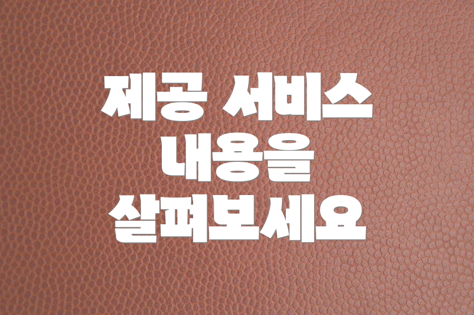 제공 서비스 내용을 살펴보세요