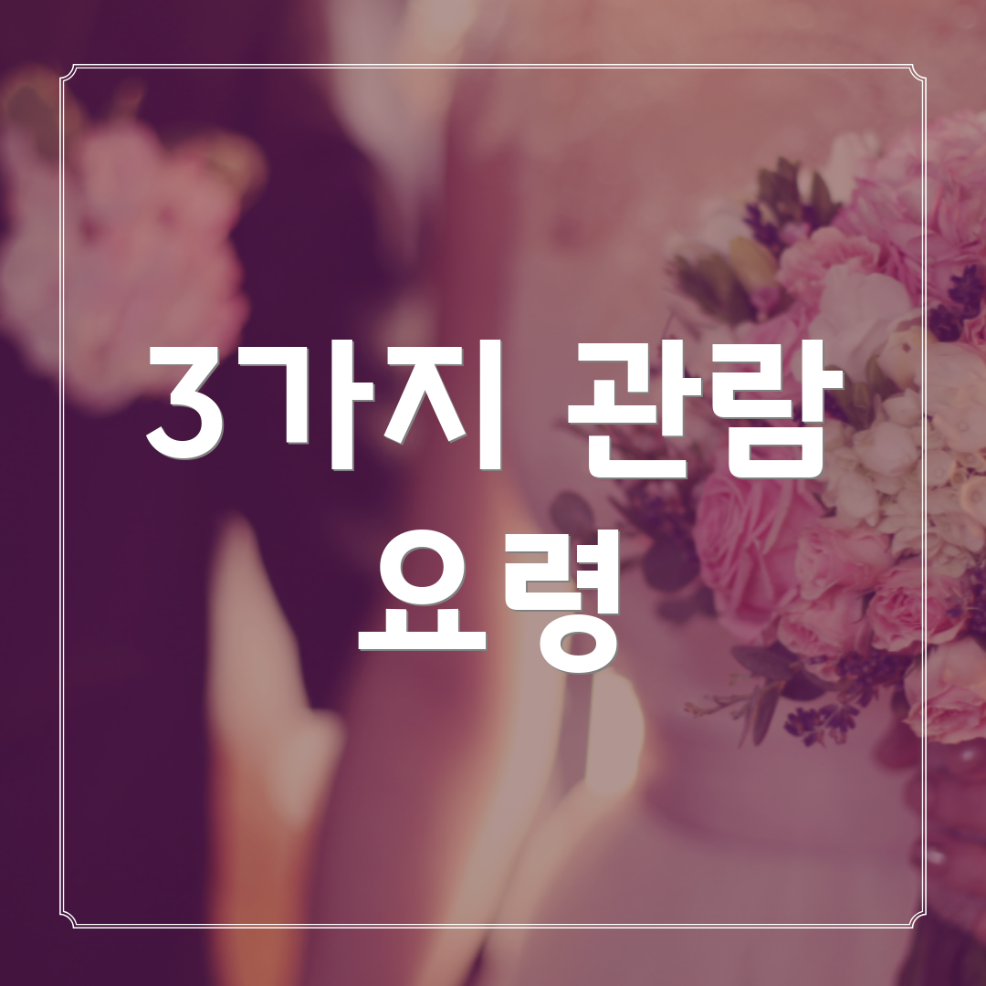 3가지 관람 요령