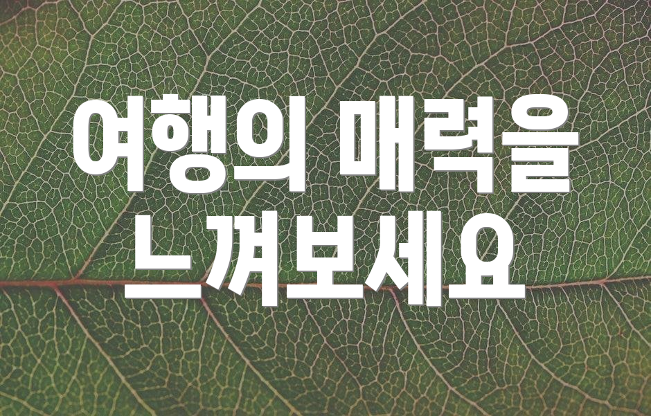 여행의 매력을 느껴보세요